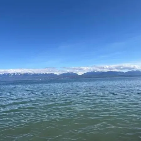 Superb In Lausanne! Apartment *