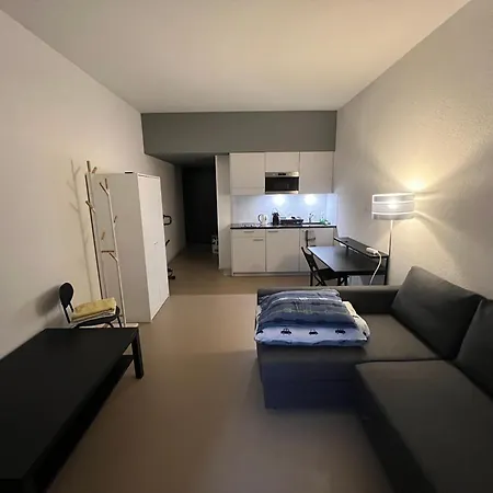 Apartment Superb In Lausanne!